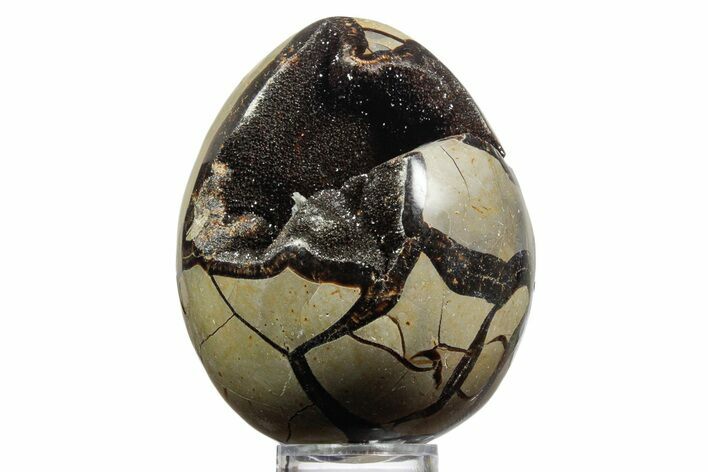 Septarian Dragon Egg Geode - Sparkly Black Crystals #356152